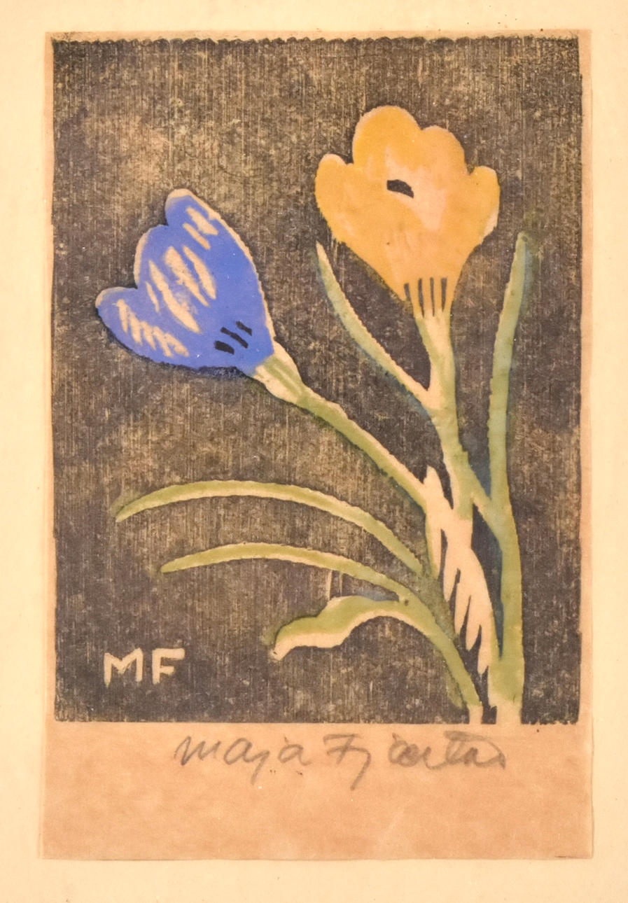 MAJA FJAESTAD. Farvetræsnit.