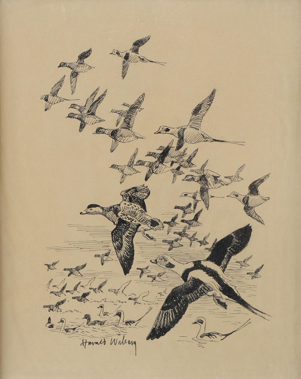 HARALD WIBERG. Birds, drawing, signed.