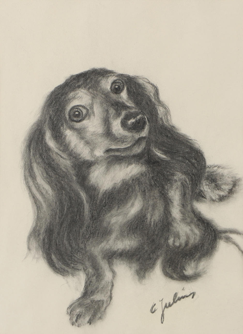CARL JULIUS. Dog, drawing, signed C. Julius.