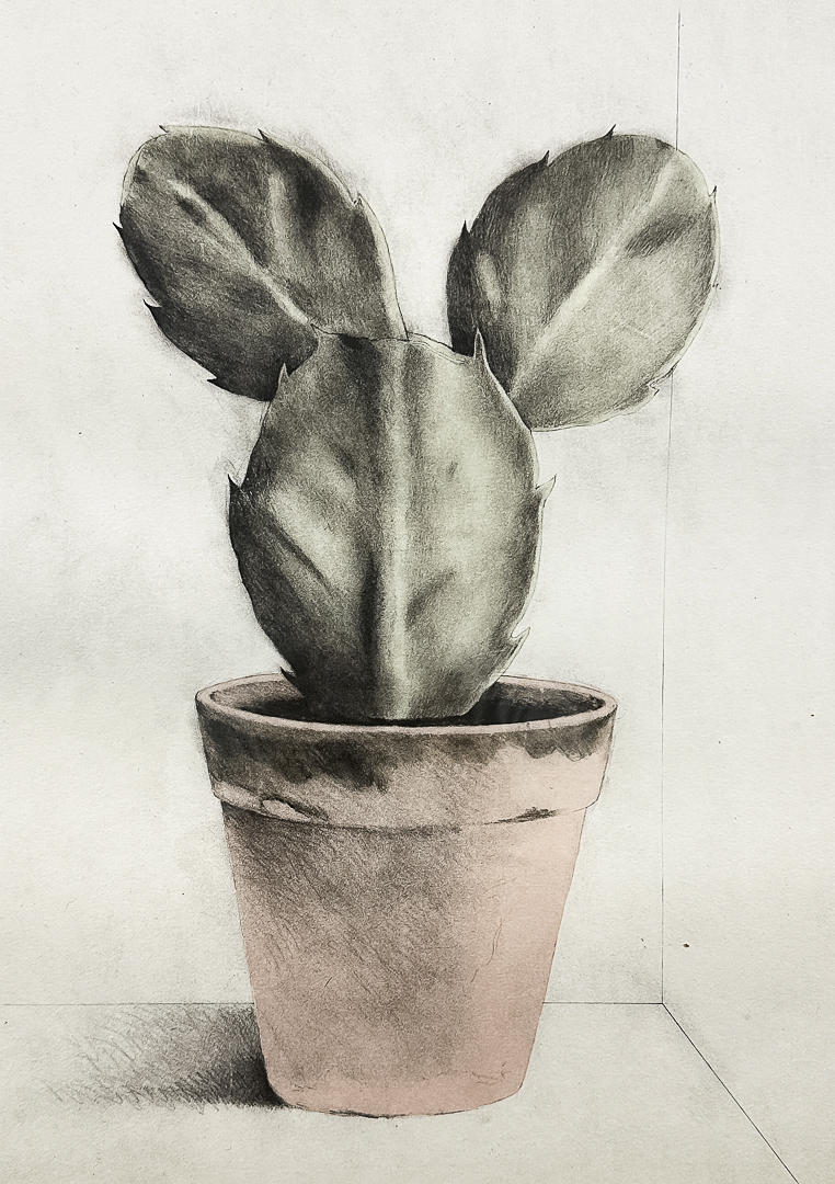 LASSE ÅBERG. LITHOGRAPH IN COLOUR, “Musscalin cactus”, signed, numbered.