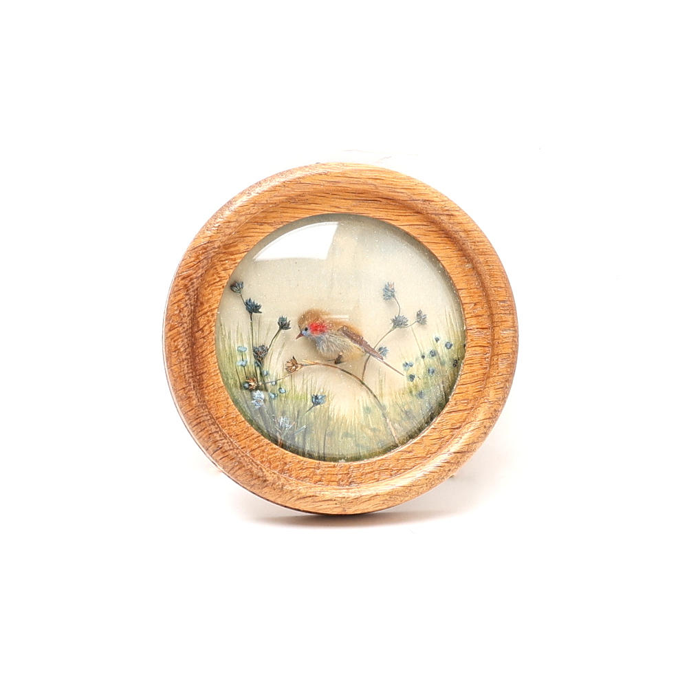 NATURE STUDY BY H.E. HERVEY.