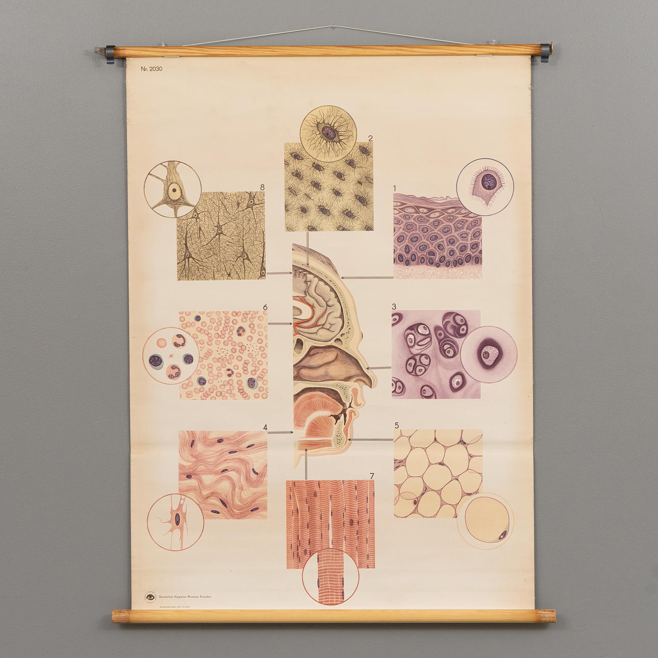 SCHOOL PLAN, tissues, VEB Rotsdruckerei, Dresden.