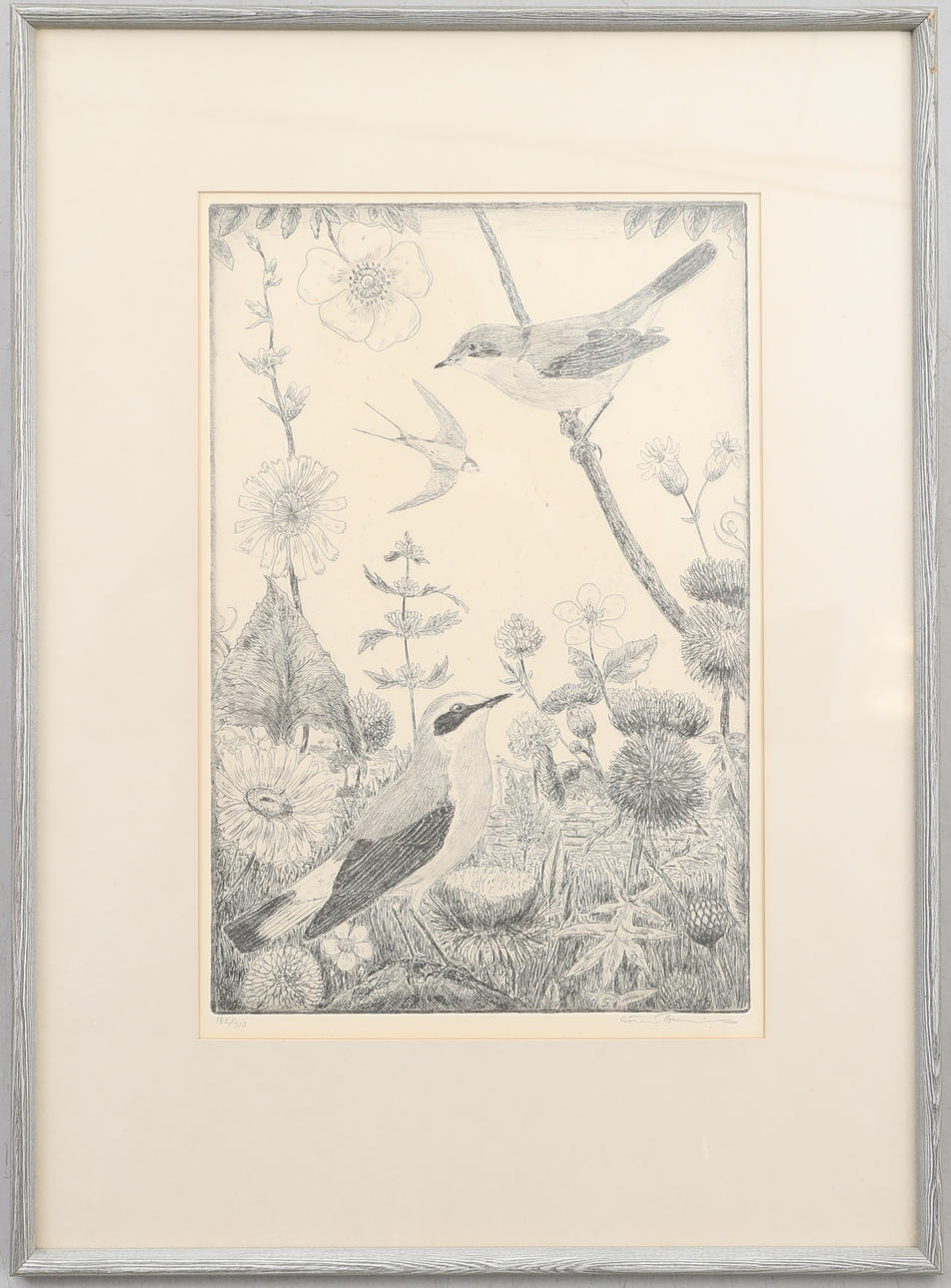 GÖRAN BRUNIUS. Etching, signed. No 182/310.