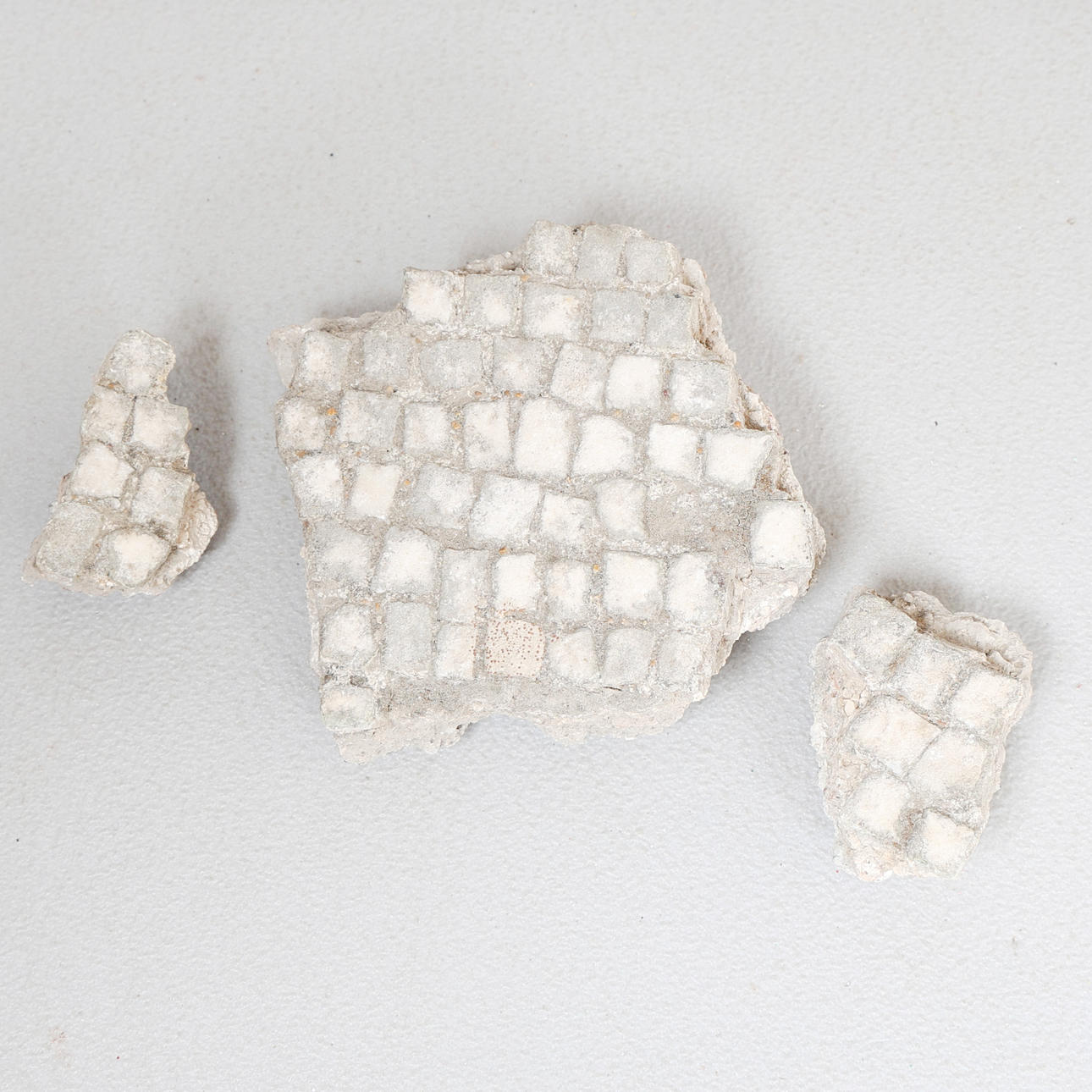 TRE STYKKER MOSAIKGULV, ERCOLANO/HERCULANEUM (3).