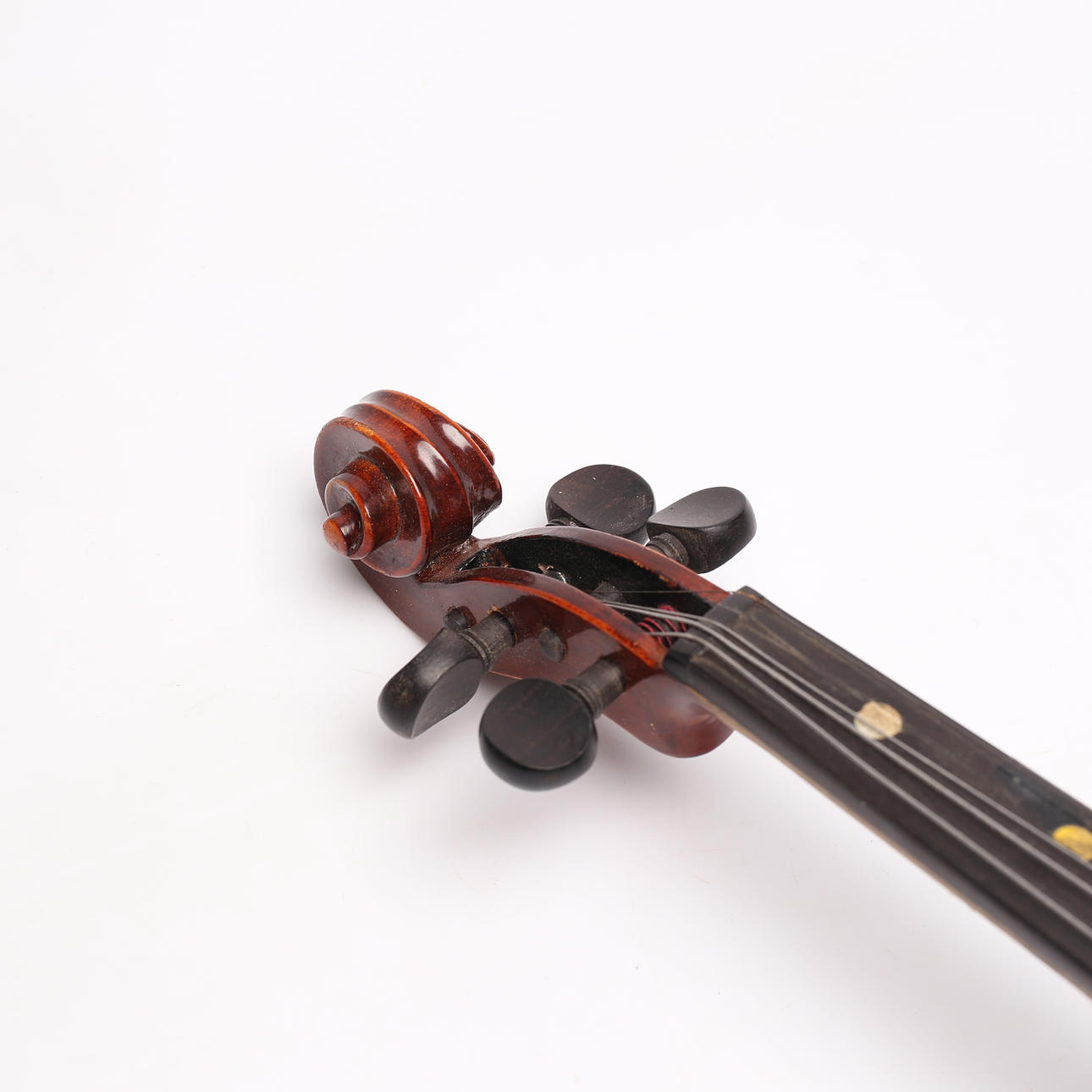 弦楽器 GEWA instrumentenbau MITTENWALD-ADORF ドイツ製 GEWA