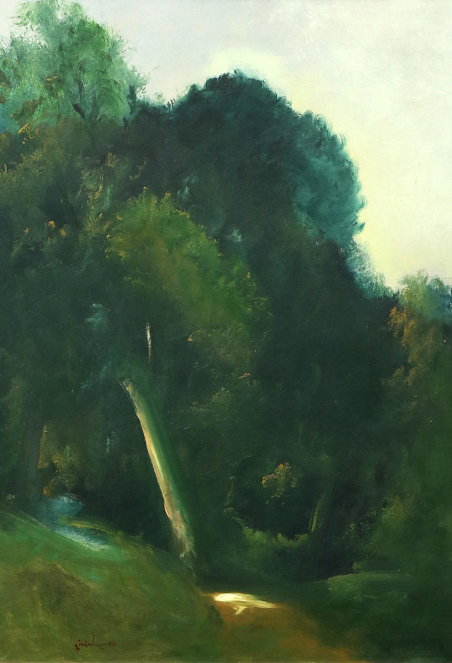 PABLO AIZOIALA. Landscape with a waterfall.