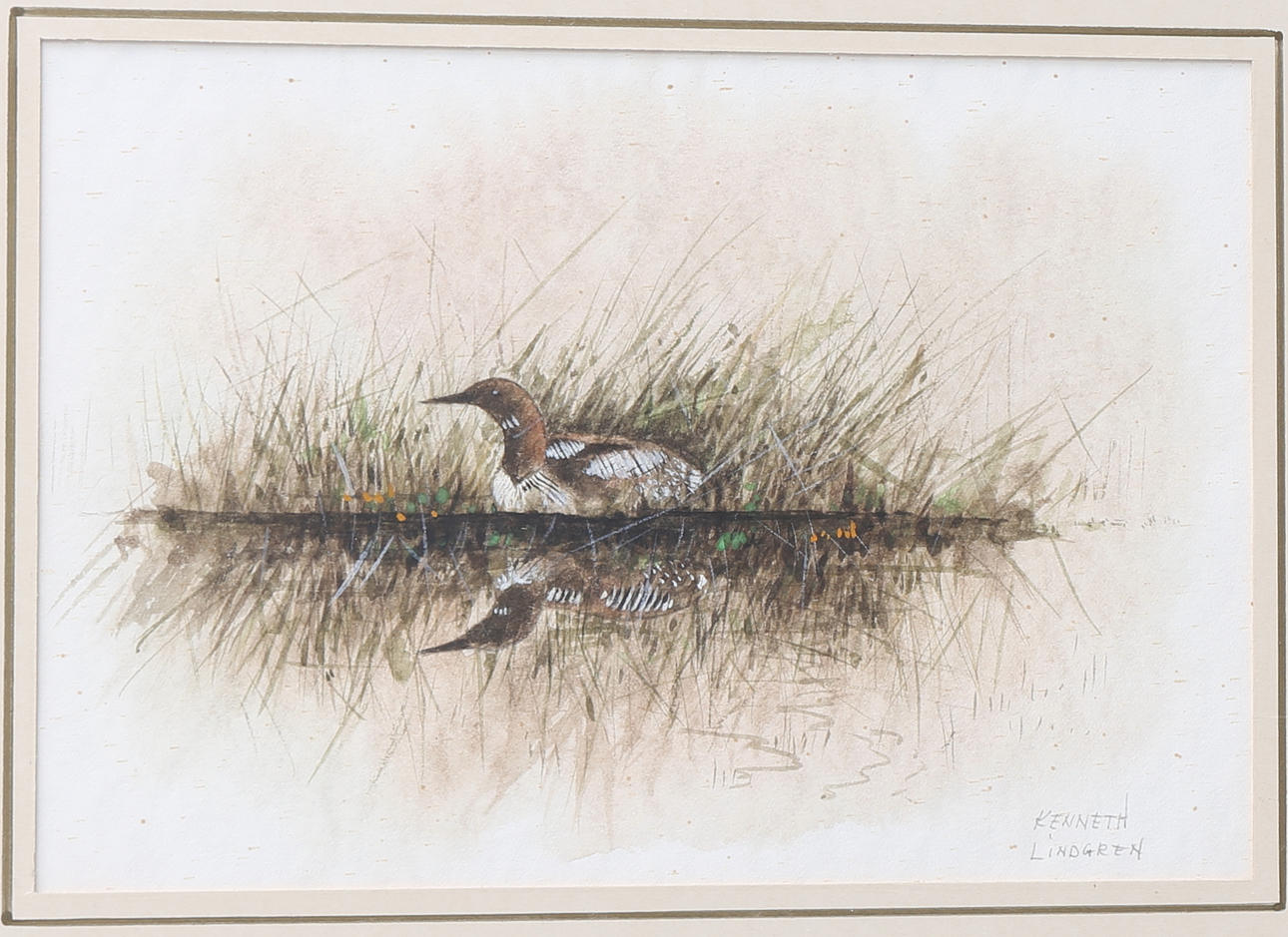 KENNETH LINDGREN. Sjöfågel. Akvarell, signerad.