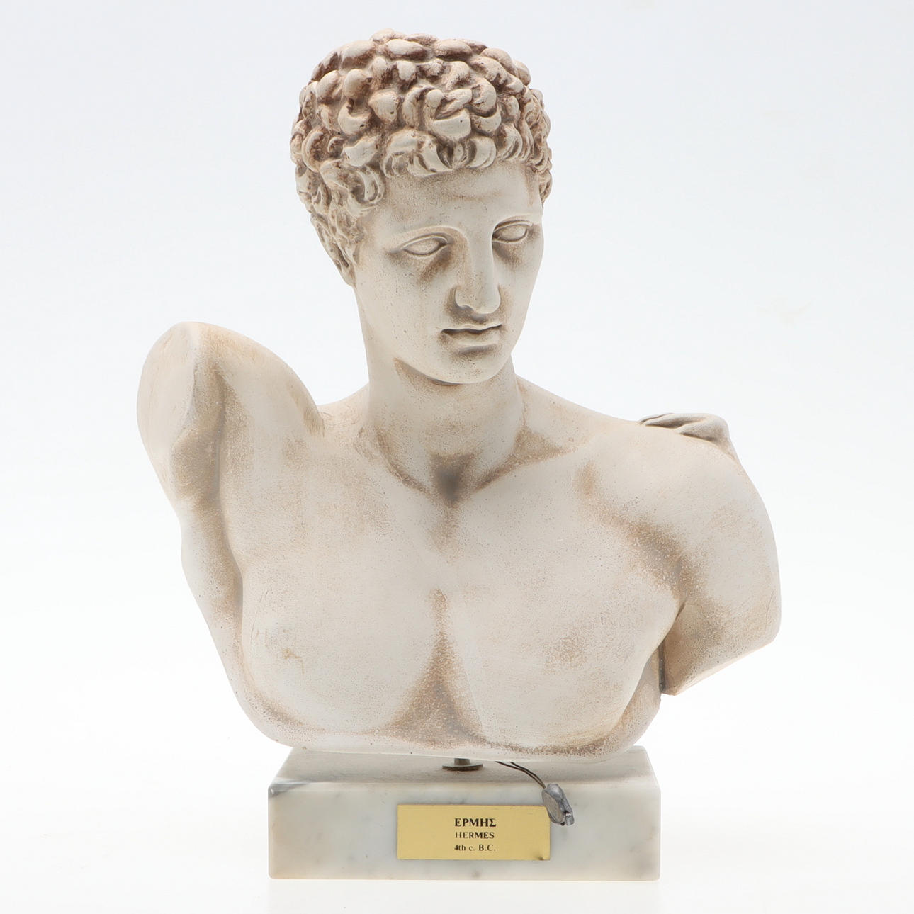 BUST, Hermes, plaster.