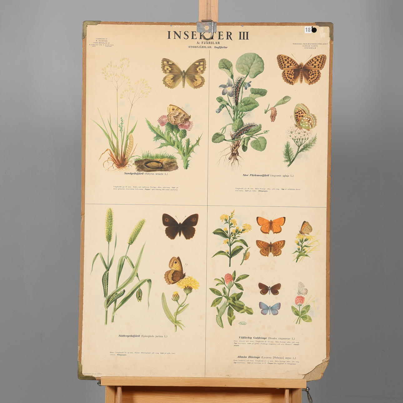 SCHOOL PLAN, “Insects III”.