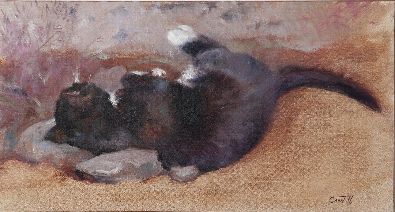 THEODORA DANIELA CAPAT. Vilande katt, olja på pannå, signerad Capat och daterad -16.