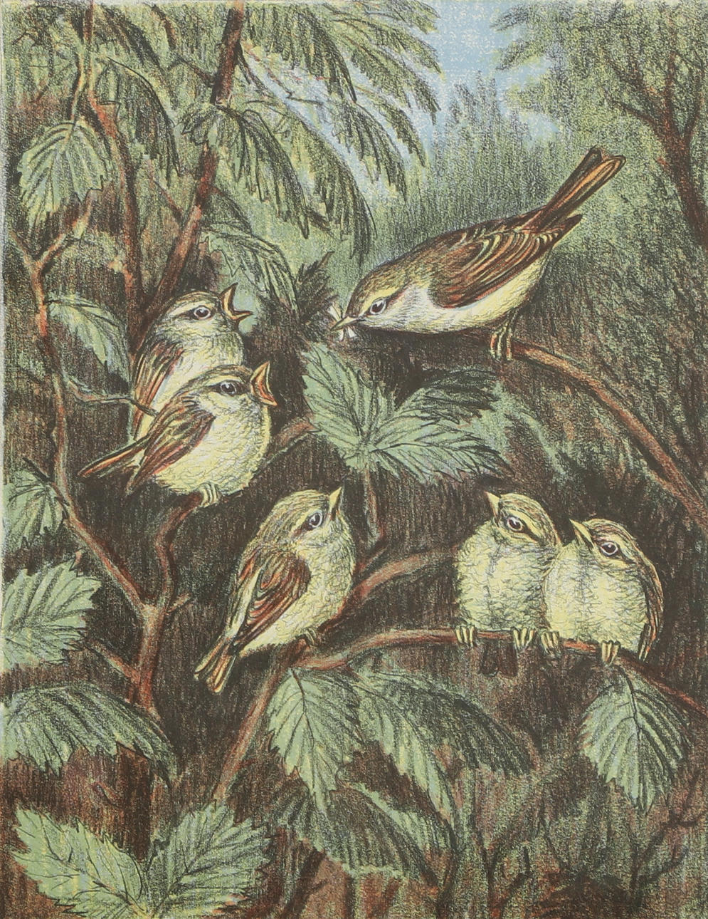 ALF JOHANSSON. Lithograph, bird motif, signed, numbered 239/290.