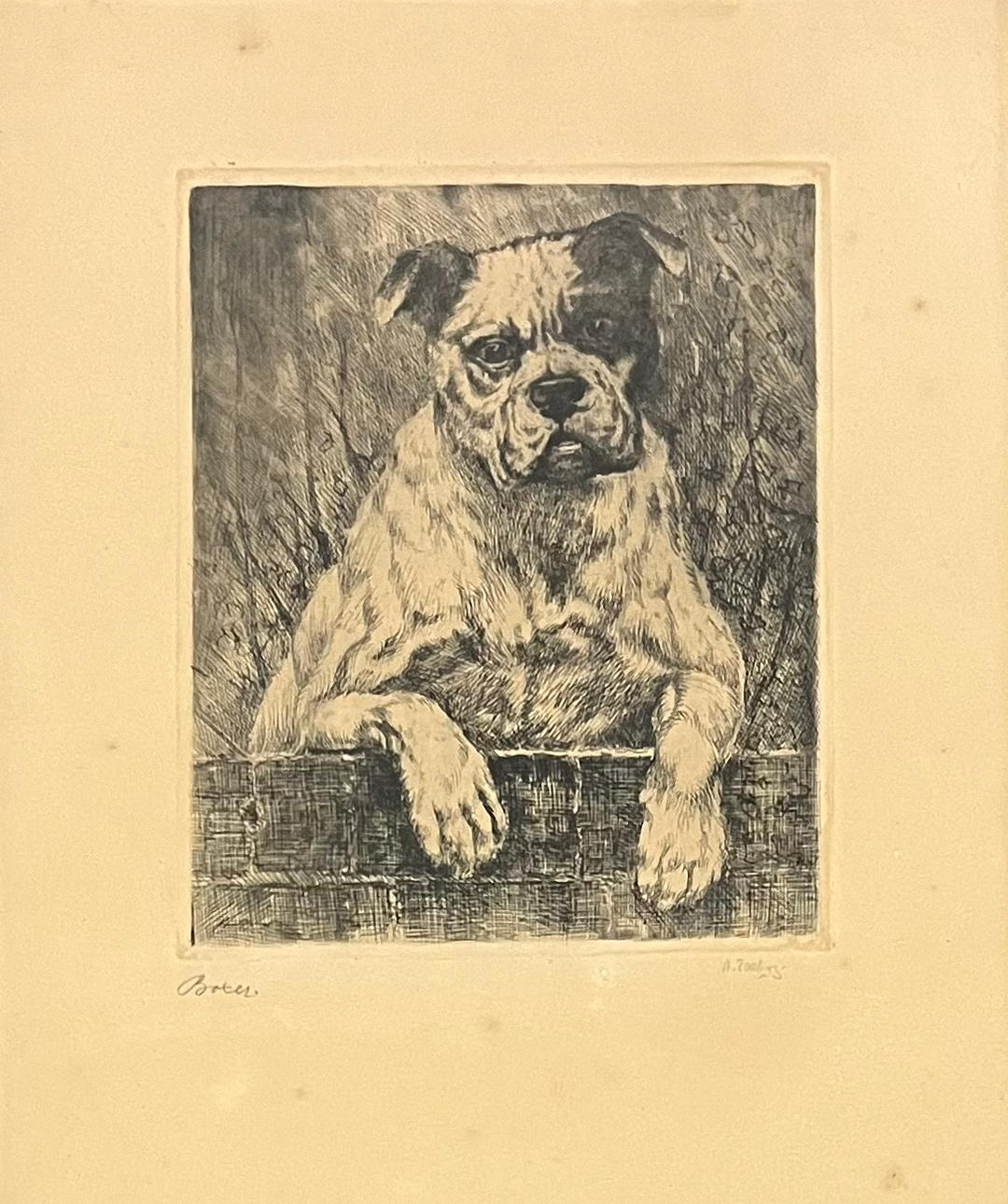 AXEL TALLBERG. “Boxer”. Etching, signed.