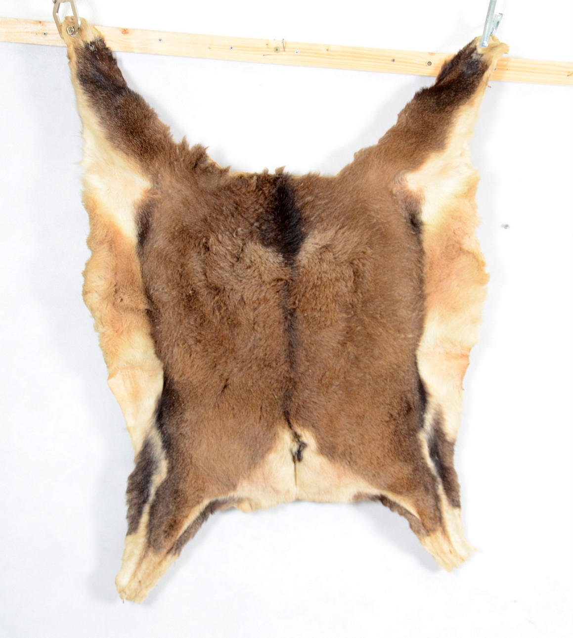 MUFFLONSKINN, garvat, 1900-tal.