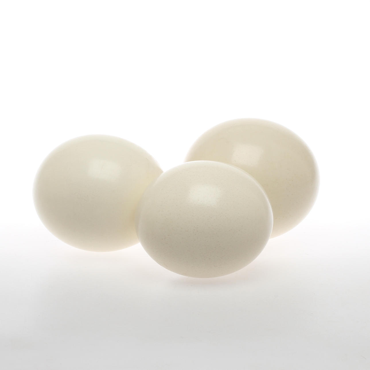 STRUTSÄGG, 3 st, 1900-tal.