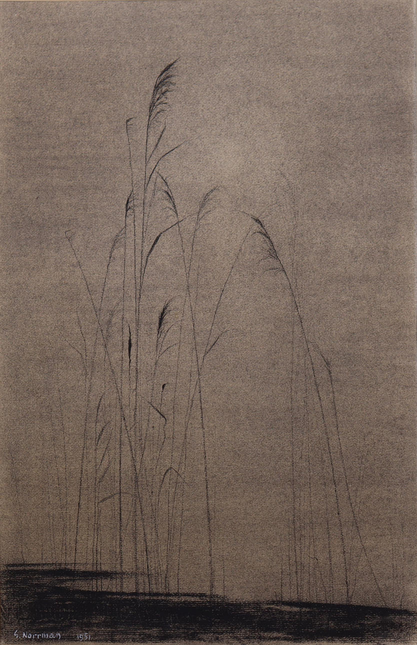 GUNNAR NORRMAN. charcoal drawing, “Autumn Prelude”.