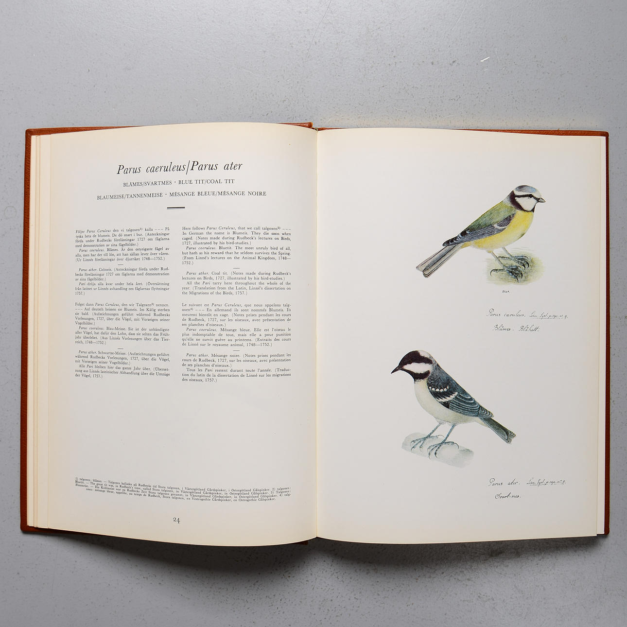 洋書 LE LIVRE DES OISEAUX d'Olof Rudbeck Le Livre DES Oiseaux: D'Olof Rudbeck Le Jeune : Krook, Hans