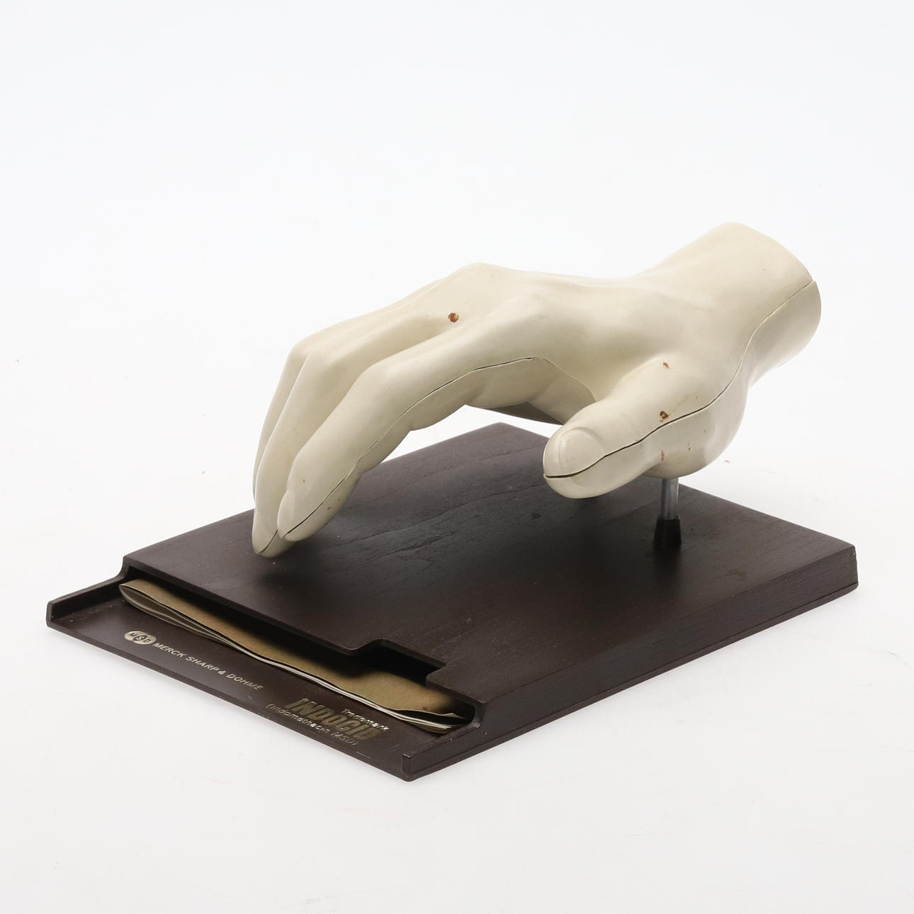 ANATOMISK HANDMODELL . Plast, Merck, Sharp and Dohme, 1960-/70-tal.