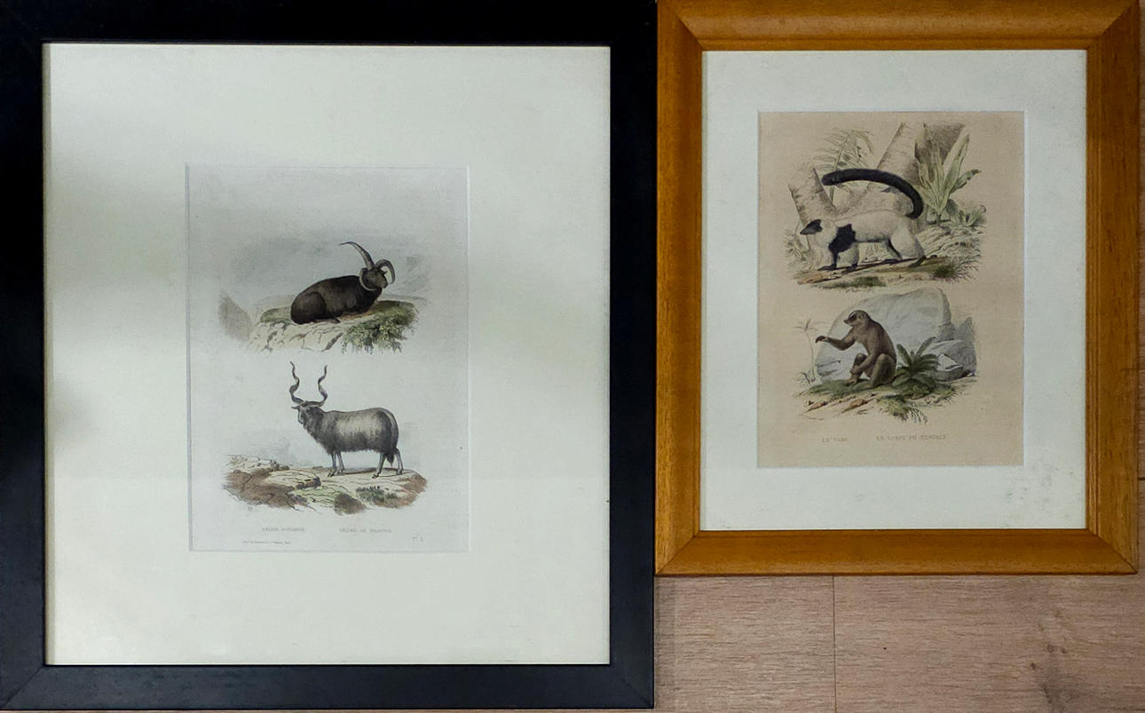 Two engravings with animal motifs.