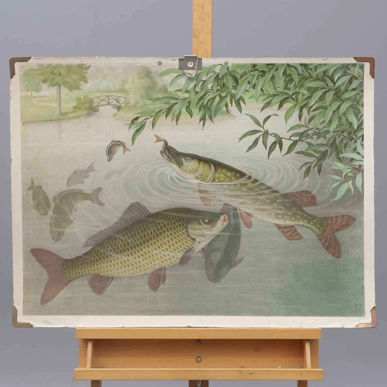 SCHOOL PLAN, cardboard, fish motif.