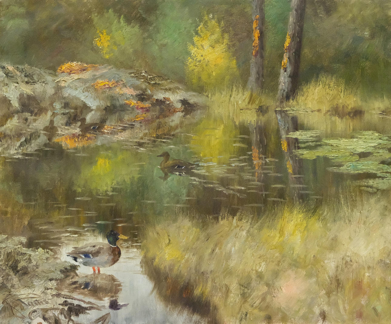 JOHANNES RAVN. ÆNDER VED SØ OG SKOV.