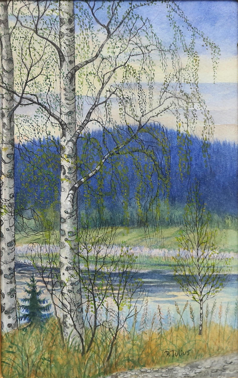 PER JULIUS. Birches, signed P.Julius, watercolour.