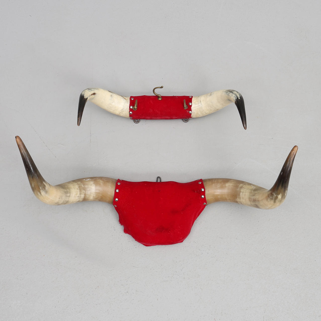 Büffelhörner, 2 Stück.