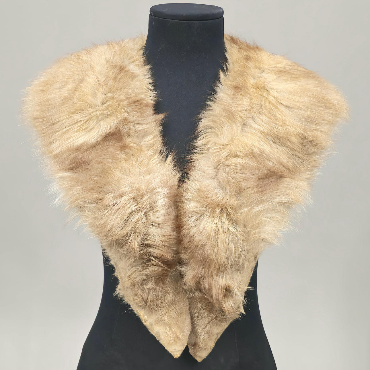 LARGE TUXEDO COLLAR IN BEIGE FOX.