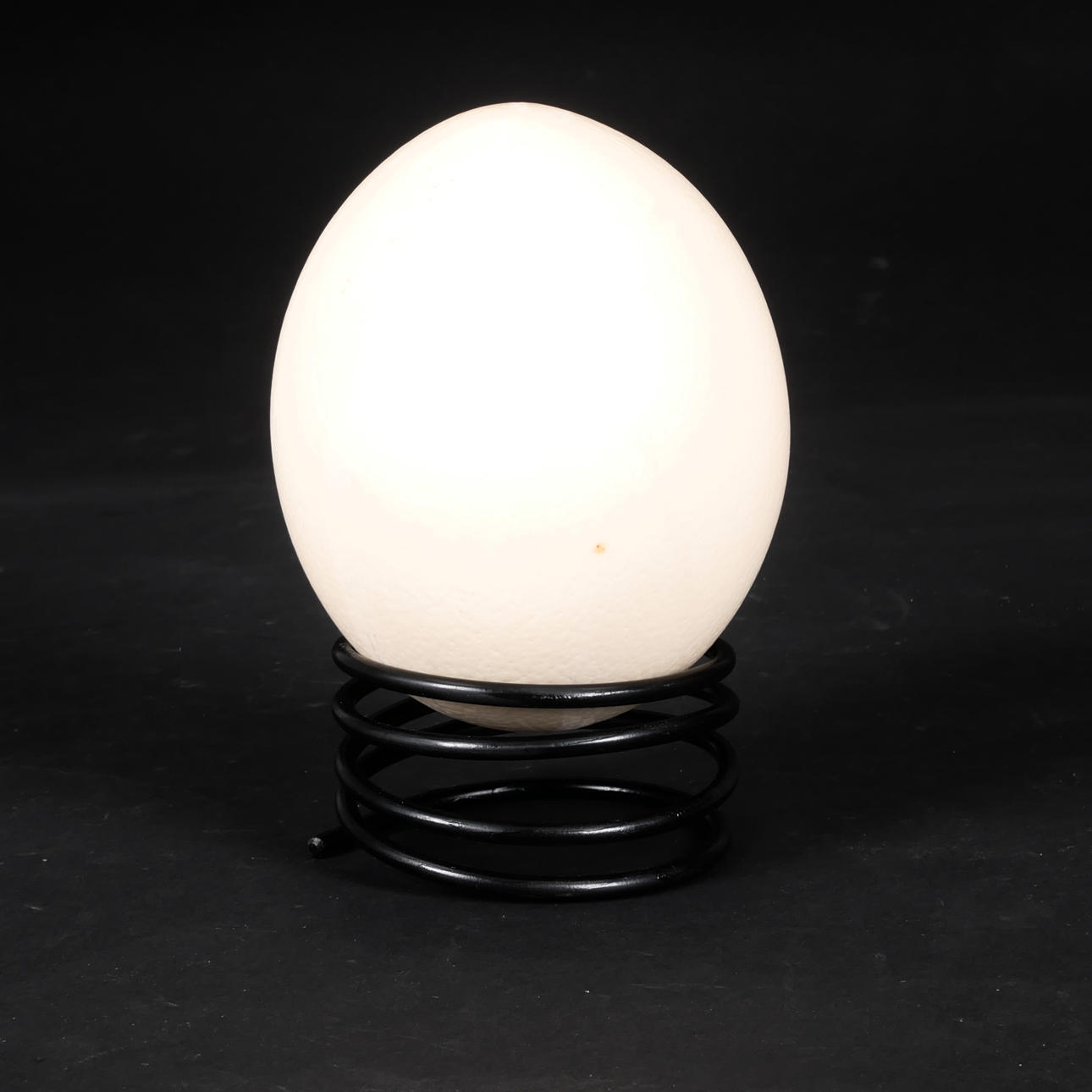 OSTRICH EGG, on stand.