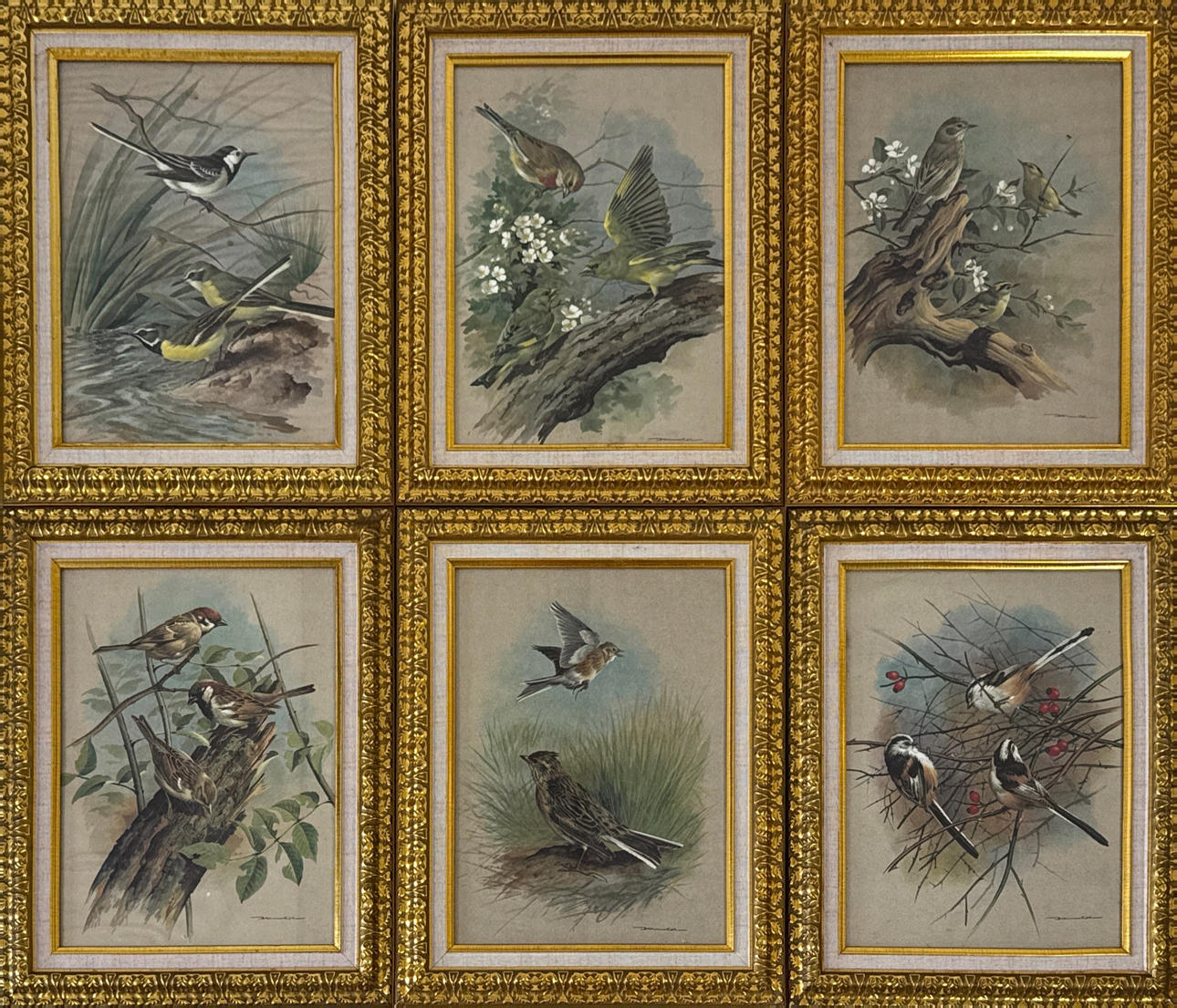 SIX GILT FRAMED PRINTS OF BIRDS.