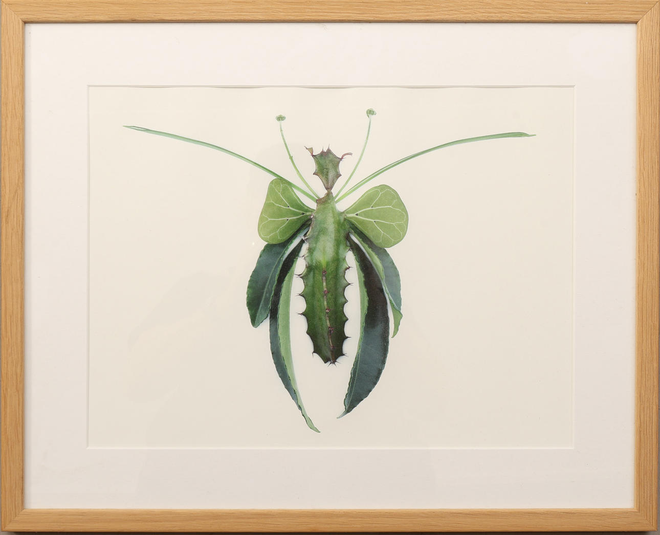 LINNEA PERSSONS&PETER ERICSSONS. Photographic technology.