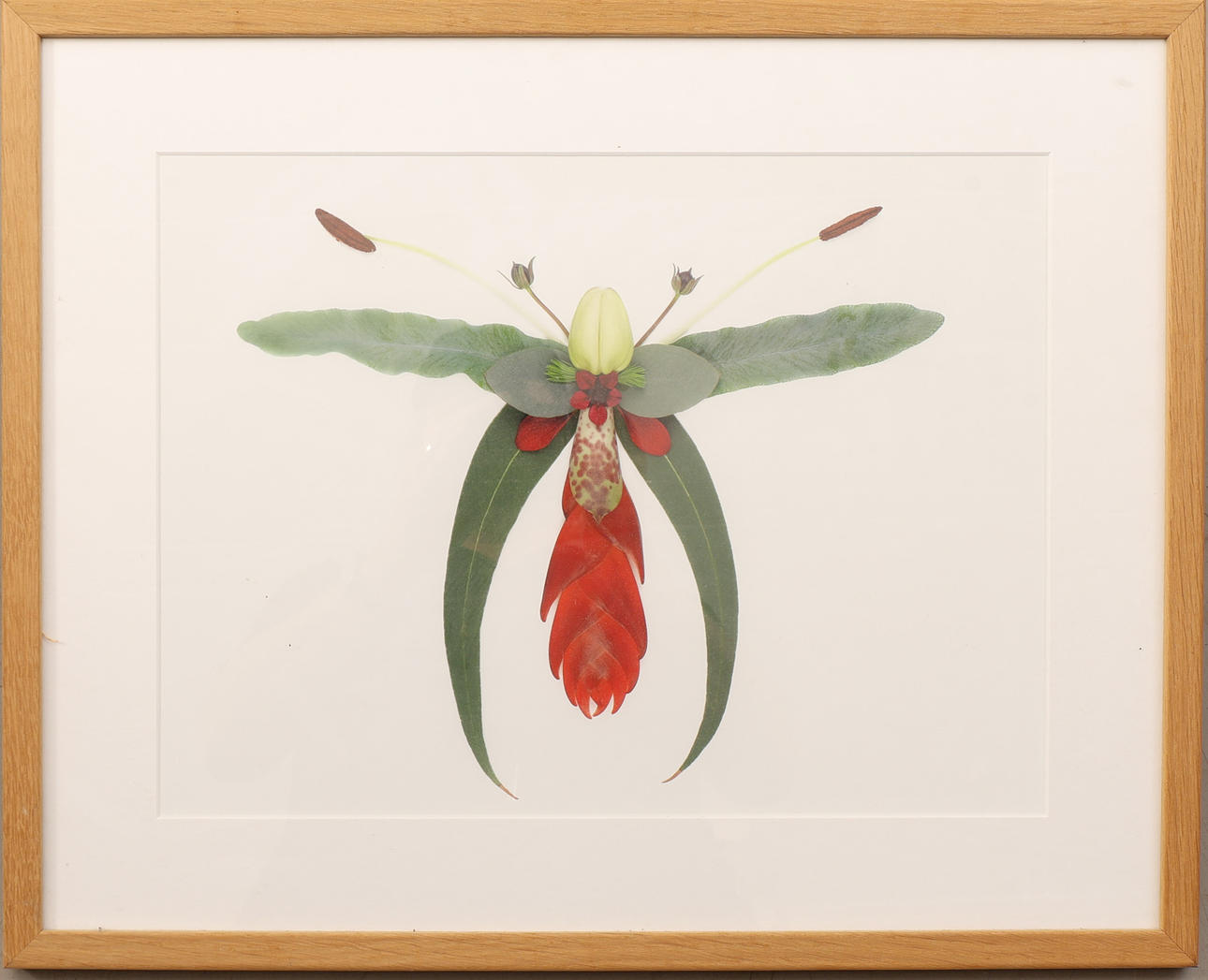 LINNEA PERSSONS&PETER ERICSSONS. Photographic technology.