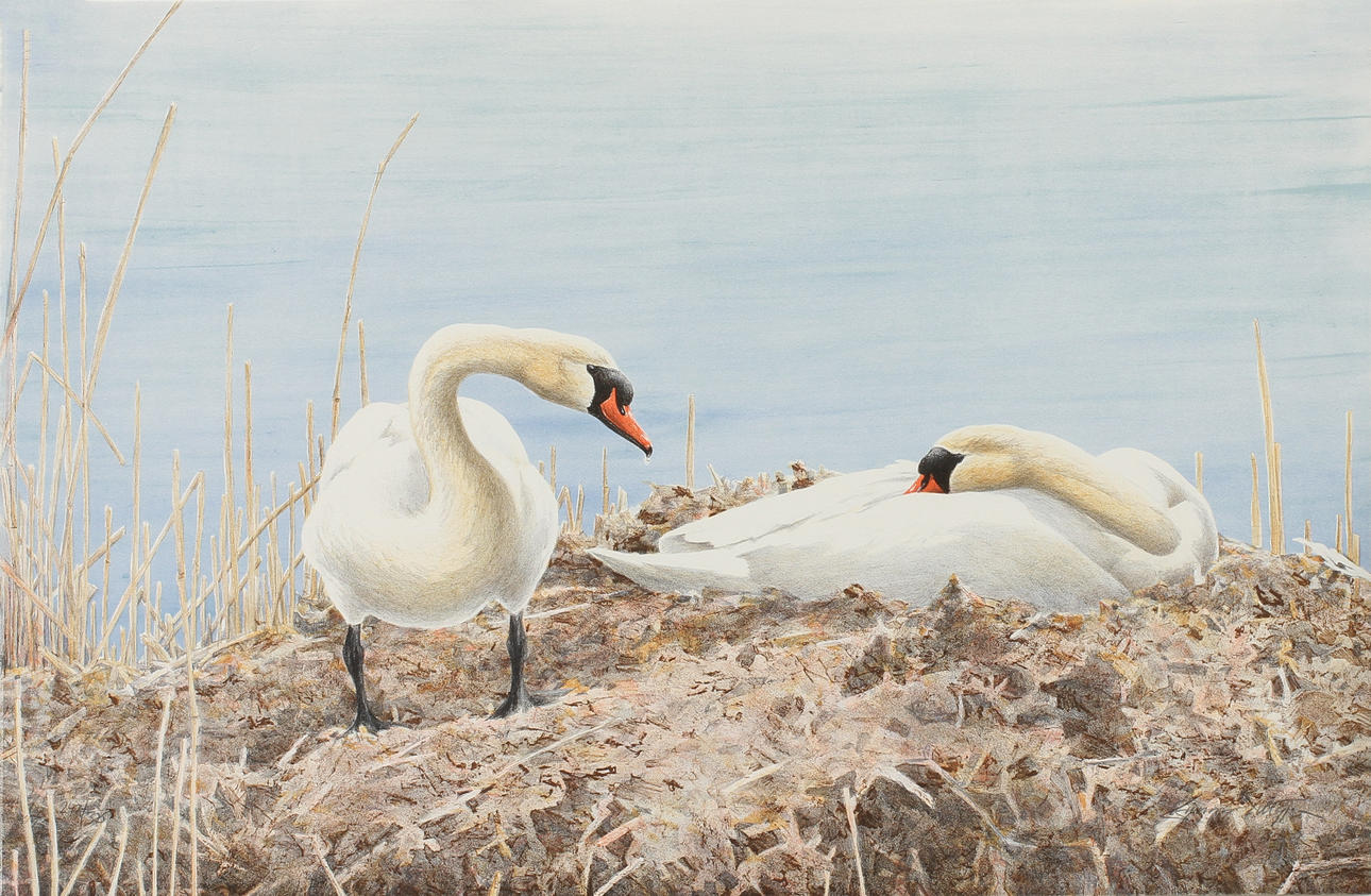 GUNNAR PETTERSSON. "Strandbilder", Mapp med 4 st färglitografier, signerade och numrerade 242/375.