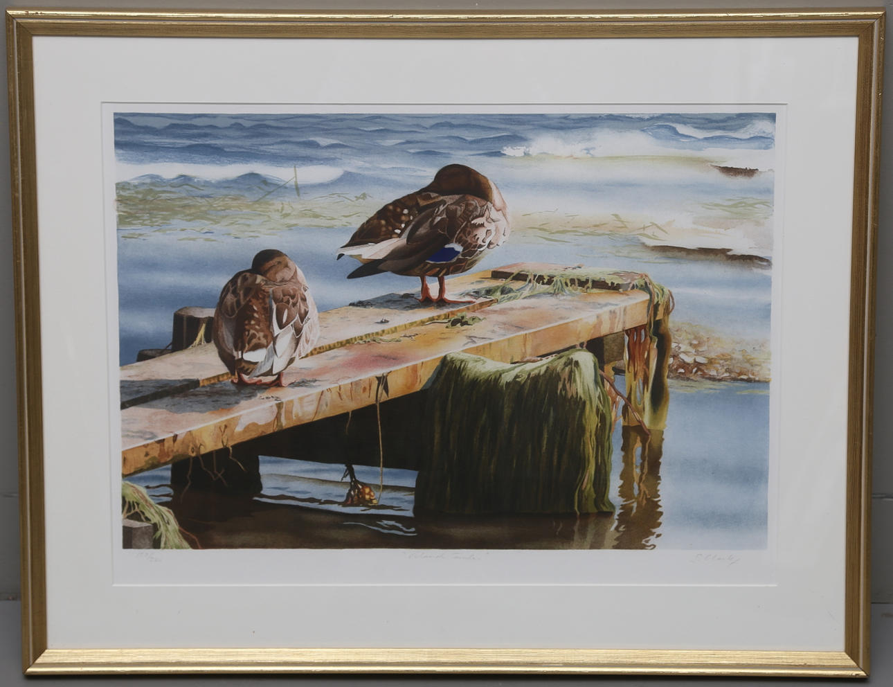 STEPHAN CLARK. "Vilande änder". Färglitografi, signerad och numrerad 153/360.