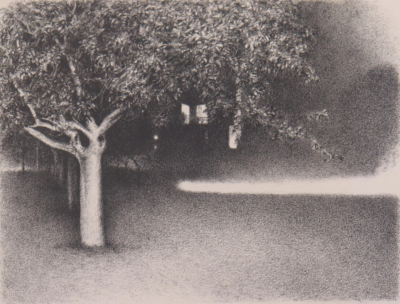 OLA BILLGREN. lithography, forest road, dark park.