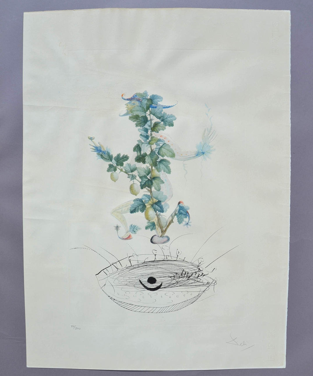 SALVADOR DALI. FLORDALI.