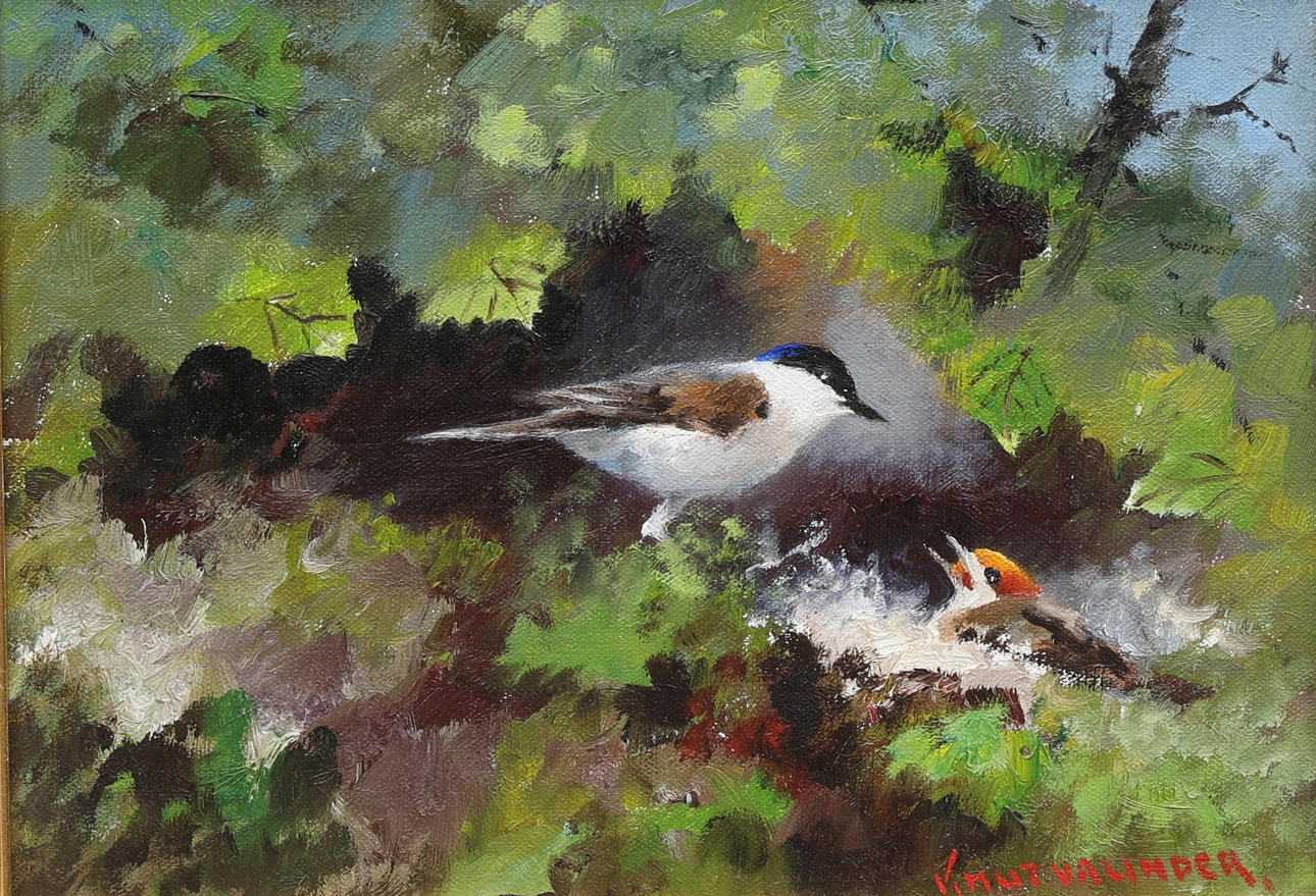 KNUT VALINDER. oil on canvas, birds, signed.