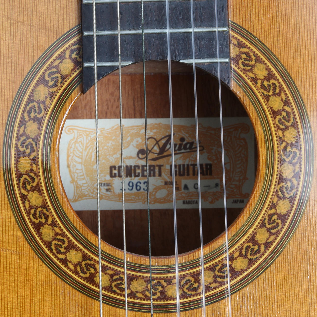 GITARR, Aria Concert Guitar.