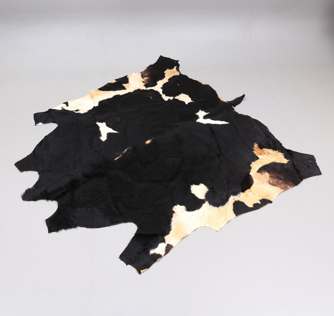 Ein Kuhfell, zweite Hälfte des 20. Jahrhunderts.