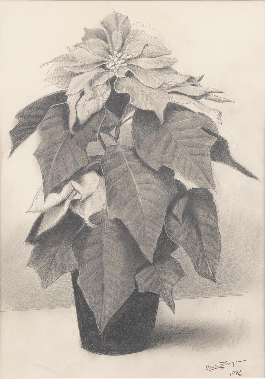 OWE  ZERGE. Still life, pencil, signed and dated 1976.