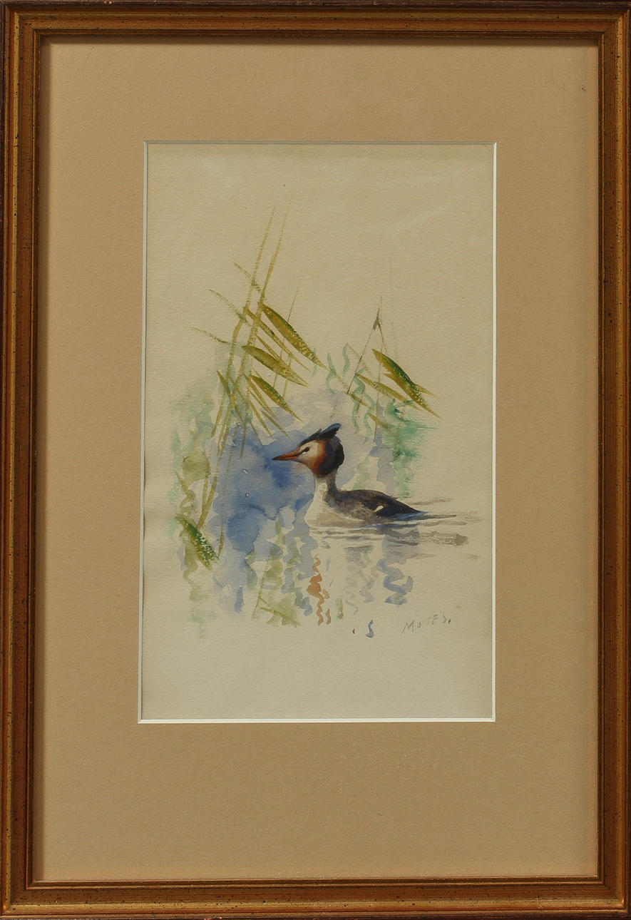 MOSSE STOOPENDAHL. Fågel i vass, akvarell på papper, signerad.