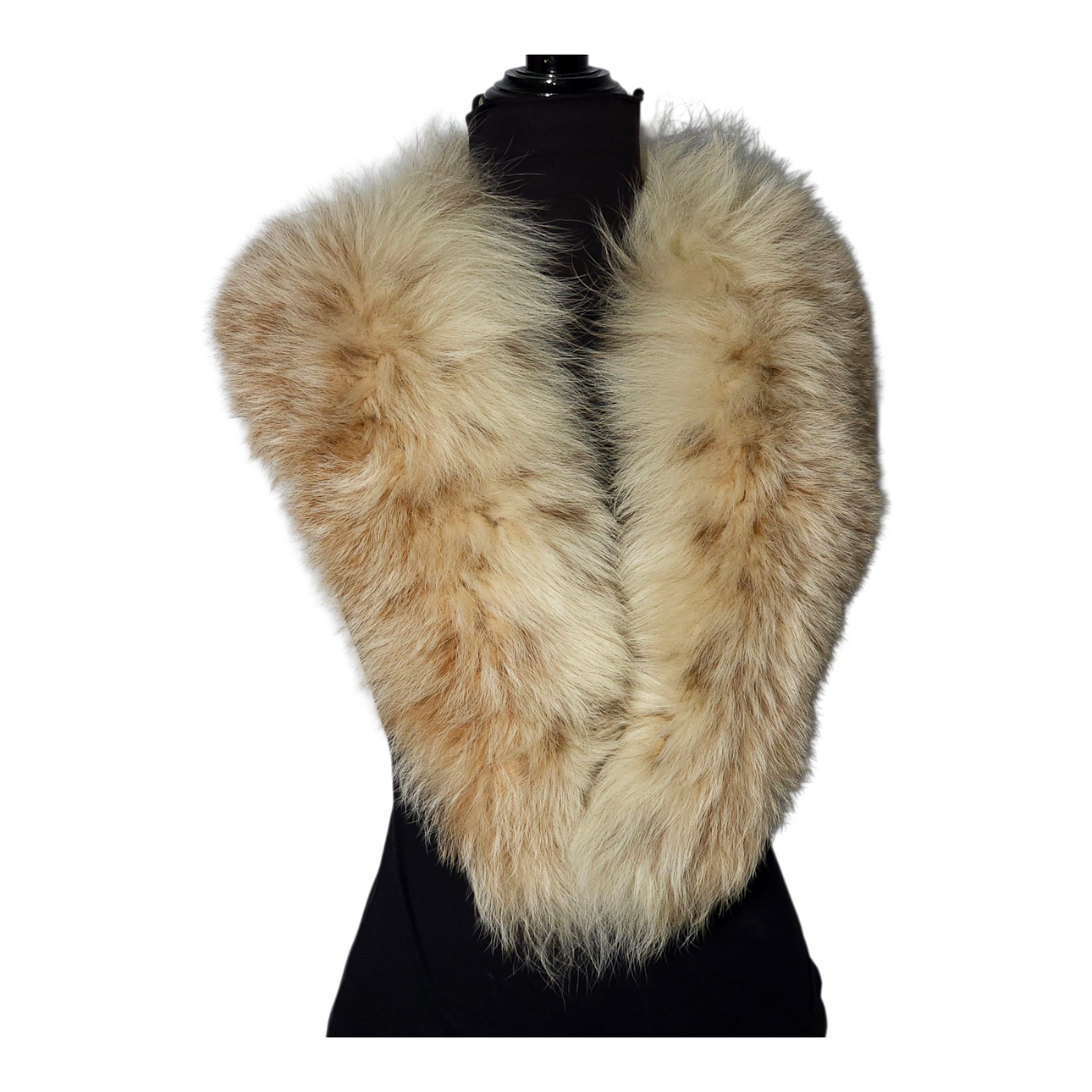 Large fox tuxedo collar in beige tones.