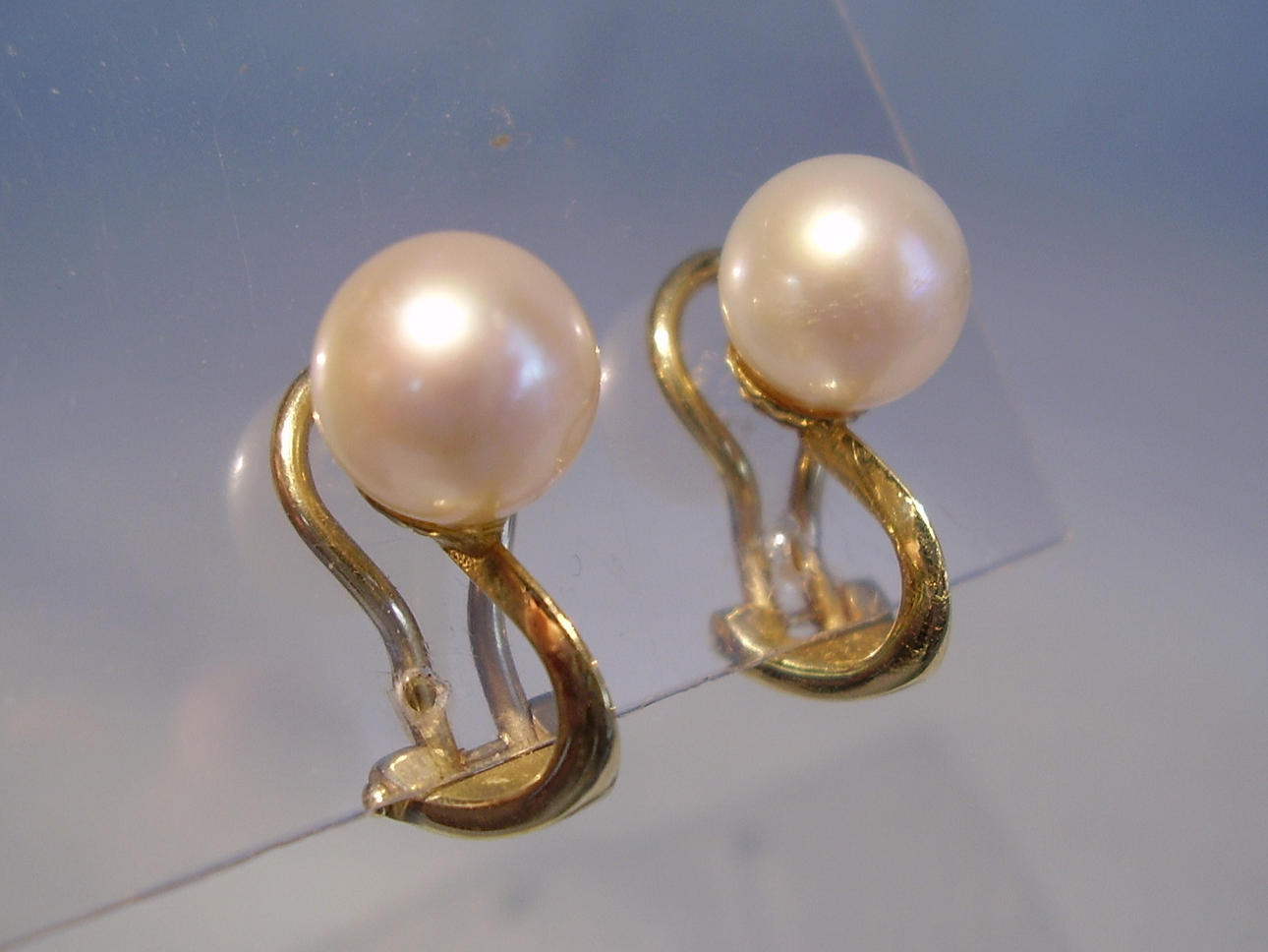 AKOYA PEARL EARCLIPS 585 gult guld.