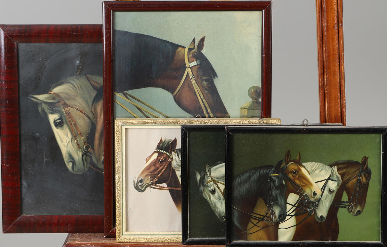 OKÄND KONSTNÄR. Horse portrait, 5 prints.