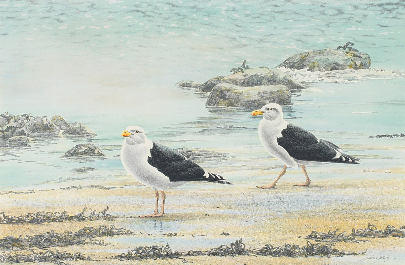 GUNNAR PETTERSSON. "Strandbilder", Mapp med 4 st färglitografier, signerade och numrerade 243/375.