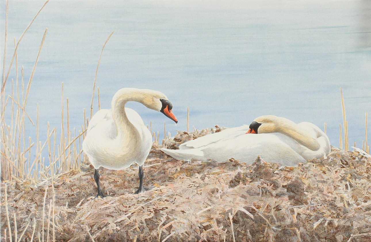 GUNNAR PETTERSSON. "Strandbilder", Mapp med 4 st färglitografier, signerade och numrerade 57/375.