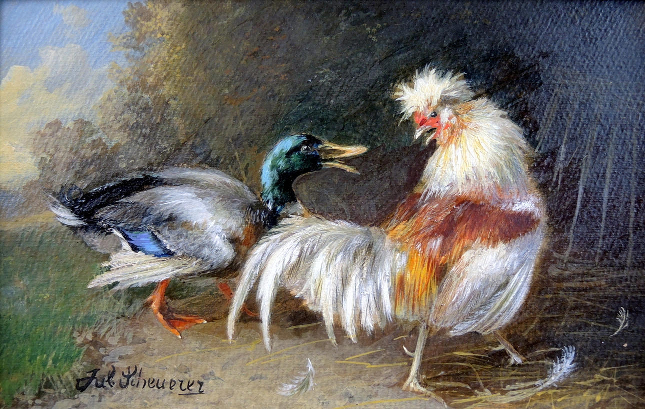 JULIUS SCHEUERER. JULIUS SCHEUERER, DRAKE OCH TUPP.