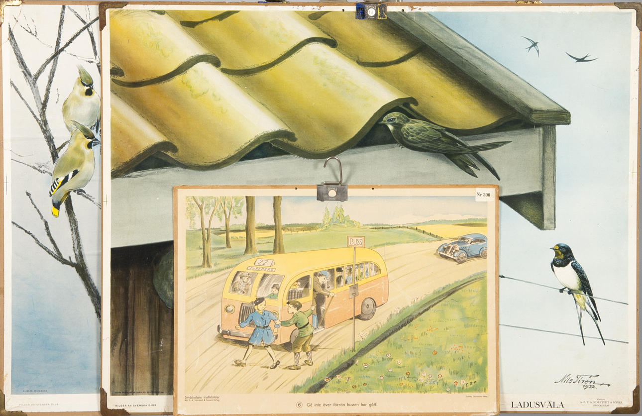 SKOLPLANSCHER, 3 stycken, bl.a. fåglar, 1930/1940-tal.