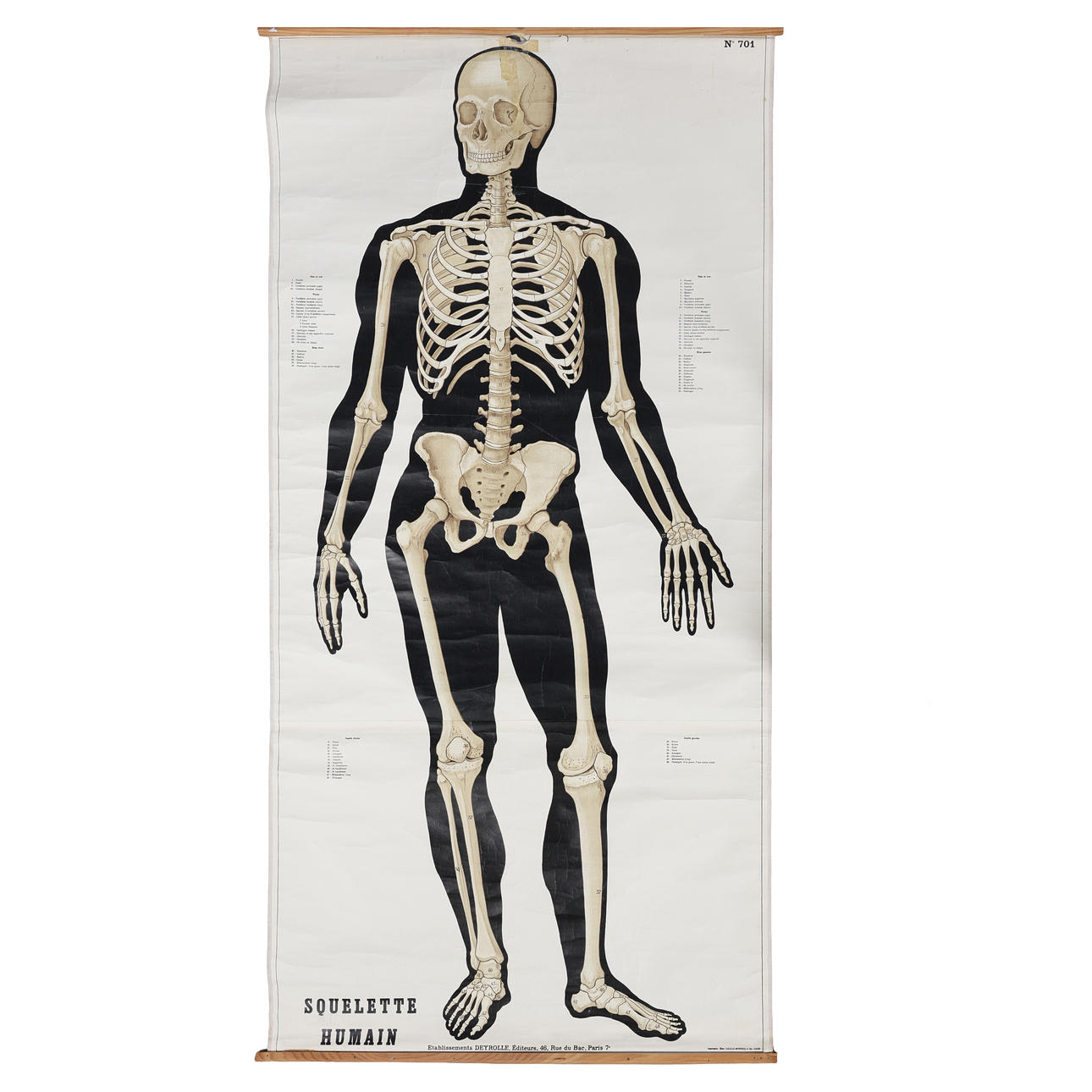 A 20TH CENTURY POSTER OF A SKELETON.