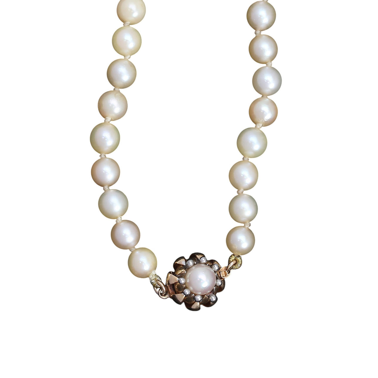 Gradient pearls choker with gold floral clasp.
