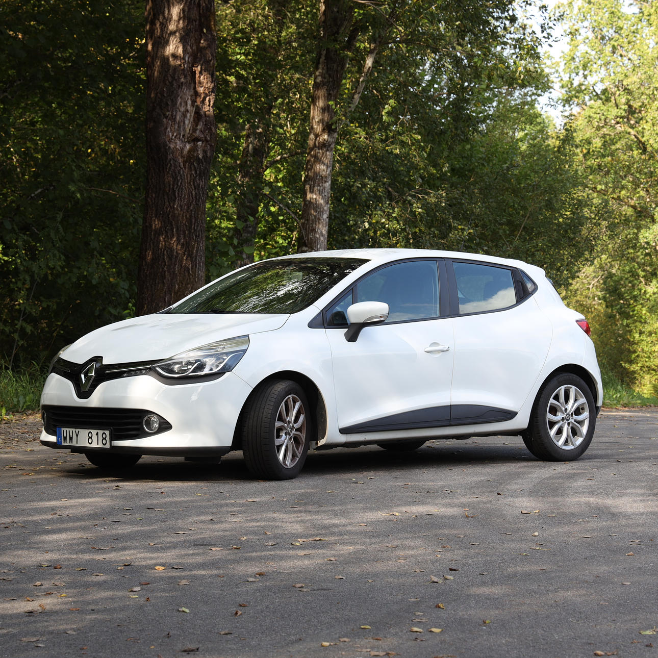 RENAULT CLIO 1,2 petrol, manual -13.
